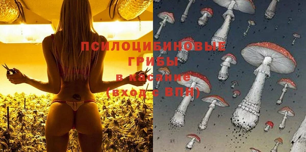 мдпв Нефтегорск