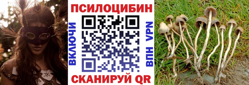 Галлюциногенные грибы мицелий Салехард